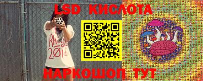 индика Чебаркуль
